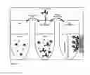 Fig. 15 - Sample depletion and enrichment to improve the quality of diagnostic test results