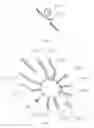 Fig. 04 - Multi-flux micro-fluidic chip based on active fluid flow control