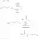 Fig. 22 - Intracellular delivery vehicle