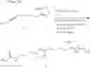 Fig. 26 - Intracellular delivery vehicle