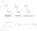 Fig. 07 - Reagents and methods for detecting protein crotonylation
