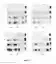 Fig. 07 - METHODS FOR ESTIMATING MISFOLDED PROTEIN CONCENTRATION IN FLUIDS AND TISSUE BY QUANTITATIVE PMCA