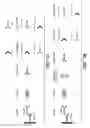 Fig. 02 - METHOD AND MEANS FOR DETECTING THE LEVEL OF TOTAL VEGF-A