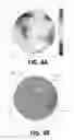 Fig. 05 - Enhancement of yield of functional microelectronic devices