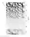 Fig. 04 - Line and edge detection and enhancement