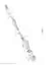Fig. 02 - MPO optical fiber connector