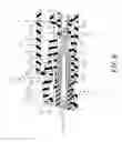 Fig. 07 - Push-pull type fiber optic connector assembly