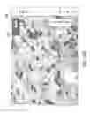 Fig. 25 - Imaging systems with micro optical element arrays and methods of specimen imaging