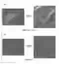 Fig. 01 - Analysis device, microscope device, analysis method, and program