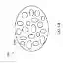 Fig. 06 - Structure of pellicle-mask structure with vent structure