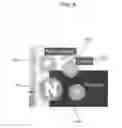 Fig. 07 - Configurable feed for display with a web page