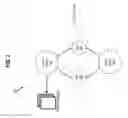 Fig. 03 - Cross-ontology multi-master replication