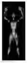 Fig. 01 - Method and apparatus for detecting human body gender in microwave image