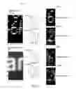 Fig. 06 - Systems and methods for robust industrial optical character recognition