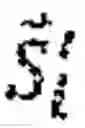 Fig. 33 - Unsupervised Deep Learning Biological Neural Networks