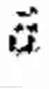 Fig. 44 - Unsupervised Deep Learning Biological Neural Networks