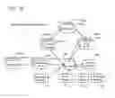 Fig. 35 - Delivering Internet Content