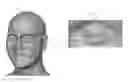 Fig. 01 - Blendshape compression system