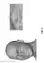 Fig. 02 - Blendshape compression system