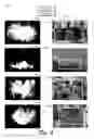 Fig. 07 - Saliency-based collage generation using digital images