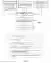 Fig. 02 - Artificial intelligence for physiological quantification in medical imaging