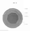 Fig. 04 - Insulated wire