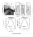 Fig. 25 - Methods and structures for altering charge carrier density or bandgap of a topological Dirac semimetal layer