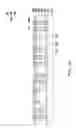 Fig. 07 - Integrated fan-out package and manufacturing method thereof
