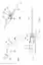 Fig. 02 - DISPENSING ARM HEAD HAVING POINT OF DISPENSE RECIRCULATION MODE