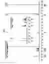 Fig. 05 - PHOTOELECTRIC CONVERSION ELEMENT, IMAGING ELEMENT, OPTICAL SENSOR, AND COMPOUND