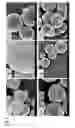 Fig. 02 - Electrode material, use of an electrode material for a lithium-ion-based electrochemical cell, lithium-ion-based electrochemical cell
