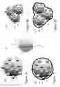 Fig. 08 - Preparing anodes for lithium ion cells from aluminum anode active material particles