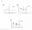 Fig. 02 - PROCESS FOR PRODUCING PROTECTED LITHIUM ANODES FOR LITHIUM ION BATTERIES