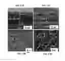 Fig. 16 - High efficiency electrolytes for high voltage battery systems