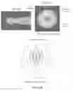 Fig. 37 - Methods and apparatus for adjusting a phase of electromagnetic waves