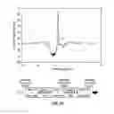Fig. 24 - Distributed reflector laser