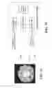 Fig. 17 - Transmission device with impairment compensation and methods for use therewith