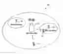 Fig. 01 - Method and apparatus for reducing inter-cell interference in radio communication system