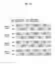 Fig. 24 - Method and apparatus for reducing inter-cell interference in radio communication system
