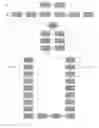 Fig. 12 - Classical implementation of quantum entanglement in datacenter network design