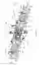 Fig. 07 - Systems and methods for FRC plasma position stability