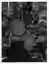 Fig. 01 - Apple tree named 'Bay 4029'