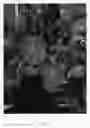 Fig. 02 - Apple tree named 'Bay 4029'