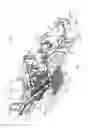 Fig. 02 - Harvester for leafy plants
