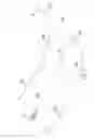 Fig. 09 - UTERINE COLLECTION DEVICE AND METHOD