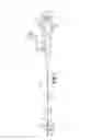 Fig. 02 - Medical retrieval device