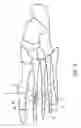 Fig. 02 - Systems and methods for orthopedic repair