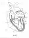 Fig. 02 - Tissue grasping devices and related methods