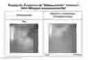 Fig. 01 - Whipped gel formulations