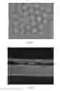 Fig. 07 - MICROCELL SYSTEMS FOR DELIVERING HYDROPHILIC ACTIVE MOLECULES
